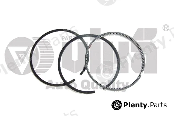 vika 11981629901 — Piston Ring Kit