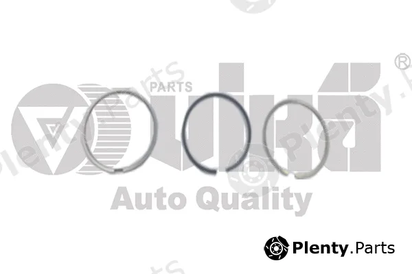 vika 11981630001 — Piston Ring Kit