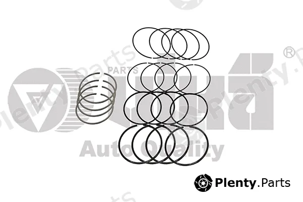 vika 11981542901 — Piston Ring Kit