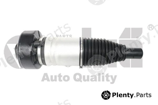 vika 46160002501 — Air Suspension Strut