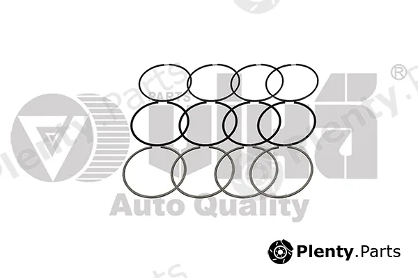 vika 11981570301 — Piston Ring Kit