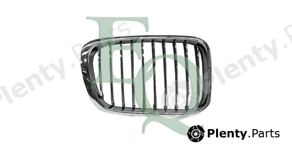 Equal Quality G0519 — Radiator Grille