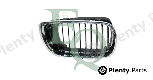 Equal Quality G0514 — Radiator Grille