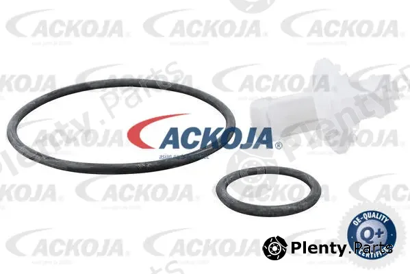 Oil Filter Green Mobility Parts