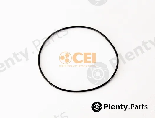 Seal Ring