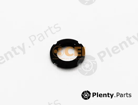 C.E.I. 287.038 — Nut