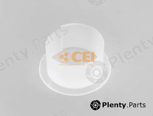 C.E.I. 117.234 — Mounting, leaf spring