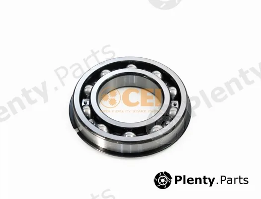 C.E.I. 134.166 — Bearing