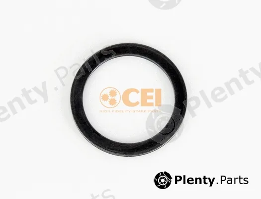 C.E.I. 269.245 — Spacer