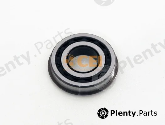 C.E.I. 134.024 — Bearing