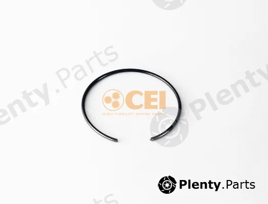 C.E.I. 111.243 — Circlip