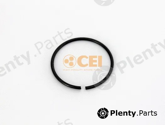 C.E.I. 111.527 — Circlip