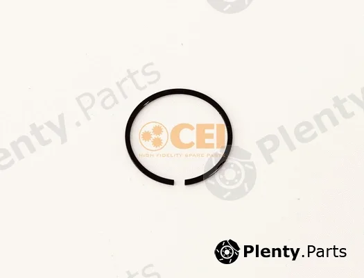 C.E.I. 111.162 — Circlip