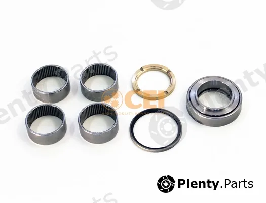 C.E.I. 230.168 — Repair Kit, kingpin