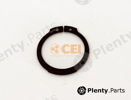 C.E.I. 111.268 — Circlip