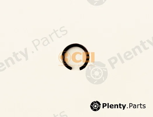 C.E.I. 111.197 — Circlip