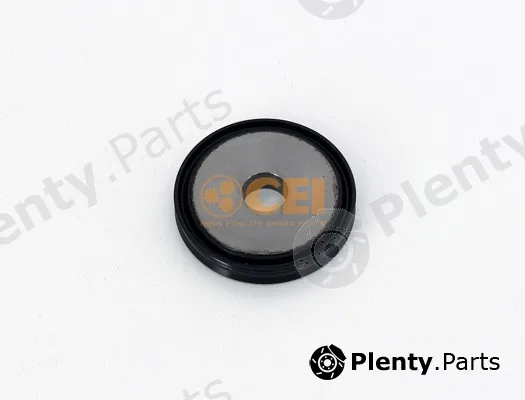 C.E.I. 189.718 — Piston, shift cylinder