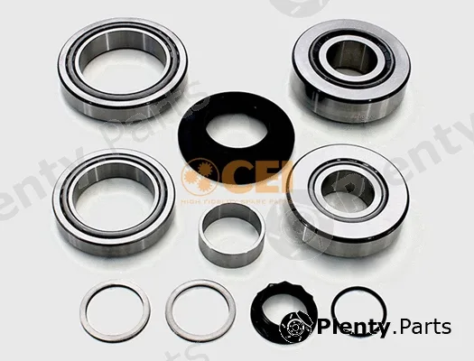 C.E.I. 598.882 — Bearing Kit, differential