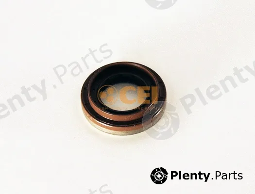 C.E.I. 139.889 — Shaft Seal, differential