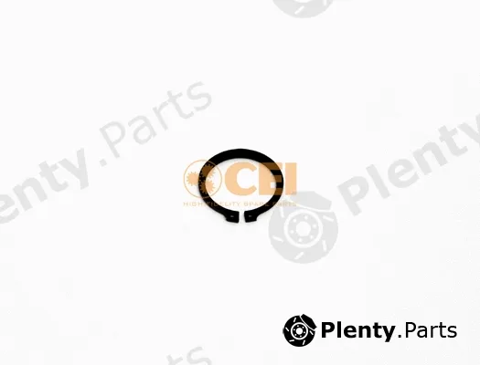 C.E.I. 111.596 — Circlip
