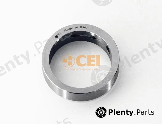C.E.I. 269.713 — Holder