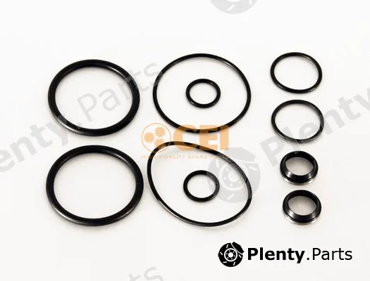C.E.I. 298.528 — Repair Kit, shift cylinder