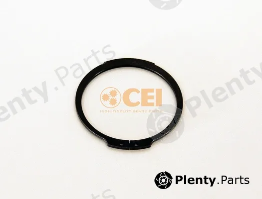 C.E.I. 111.384 — Circlip