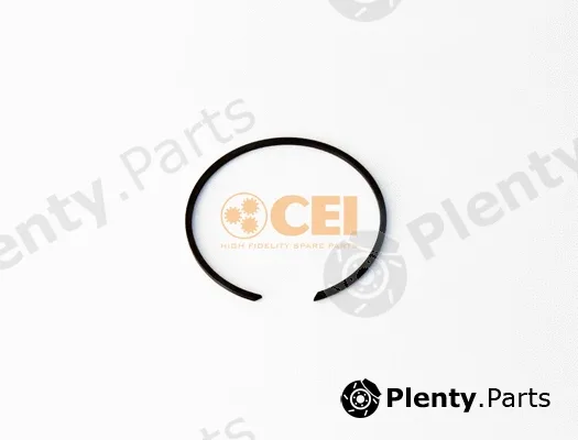 C.E.I. 111.367 — Circlip