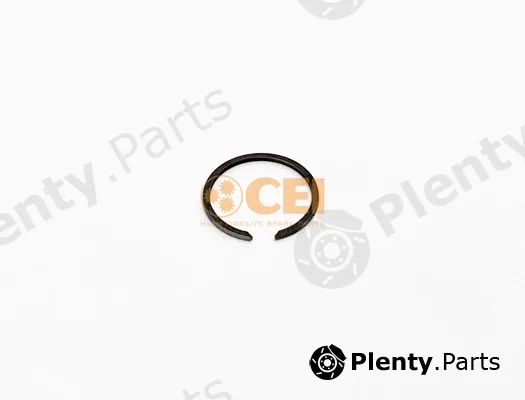 C.E.I. 111.595 — Circlip