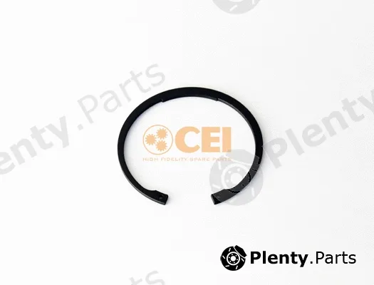 C.E.I. 111.609 — Circlip