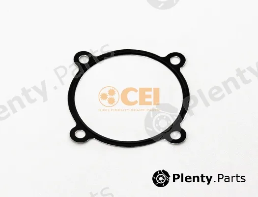 C.E.I. 239.208 — Oil Seal, manual transmission