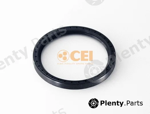 C.E.I. 239.362 — Shaft Seal, differential