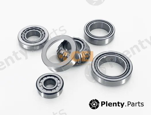 C.E.I. 598.853 — Bearing Kit, differential
