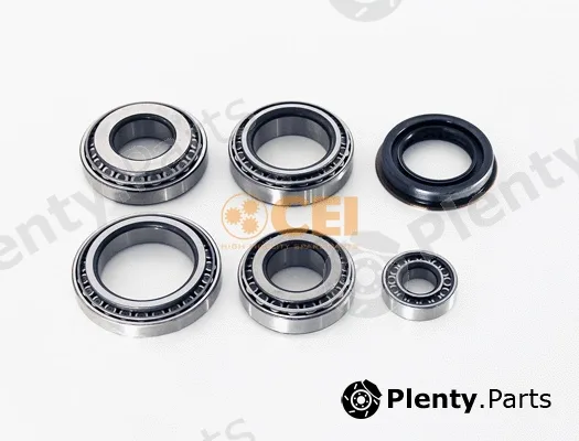 C.E.I. 298.668 — Bearing Kit, differential