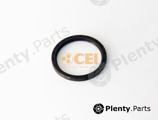 C.E.I. 239.347 — Shaft Seal, manual transmission