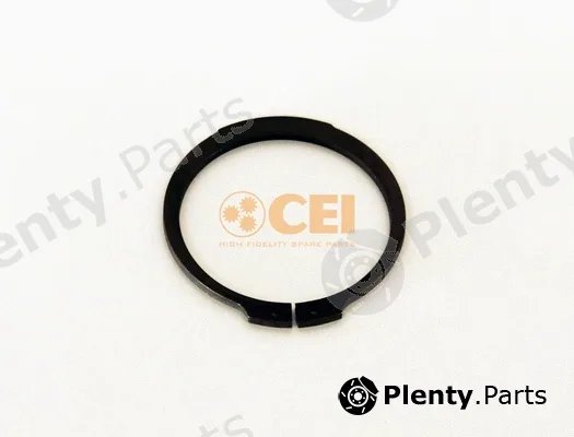 C.E.I. 111.602 — Circlip