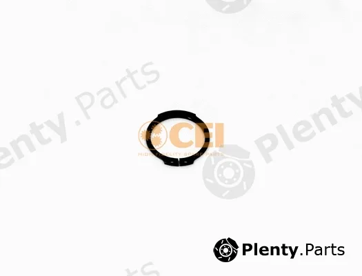 C.E.I. 111.621 — Circlip
