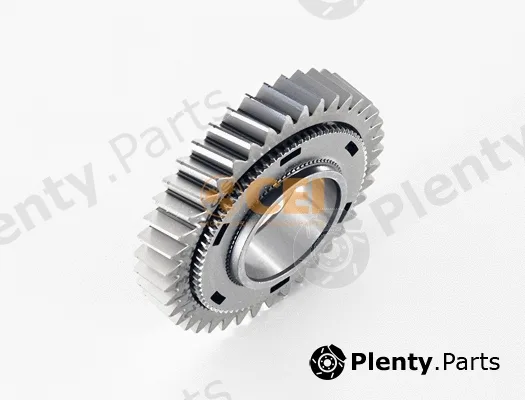 C.E.I. 244.244 — Gear, main shaft