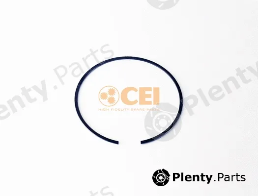 C.E.I. 111.585 — Circlip