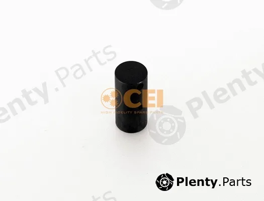 C.E.I. 107.267 — Bolt