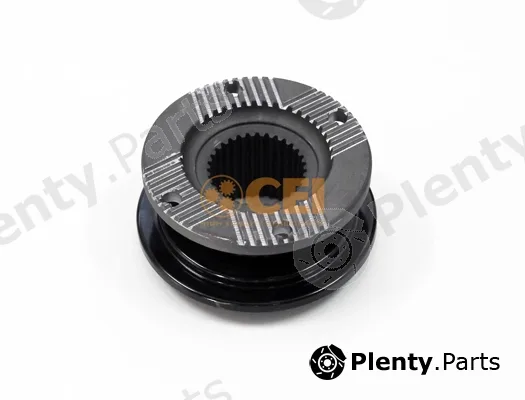C.E.I. 197.286 — Flange, differential