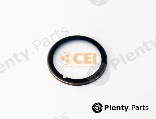 C.E.I. 189.632 — Shaft Seal, manual transmission
