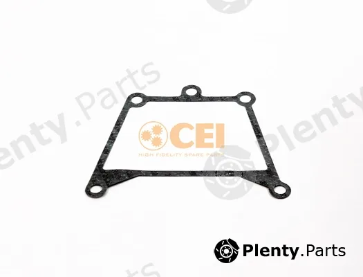 C.E.I. 239.314 — Oil Seal, manual transmission