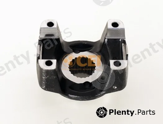 C.E.I. 197.315 — Flange, differential