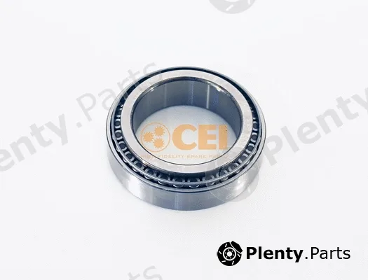 C.E.I. 134.001 — Bearing