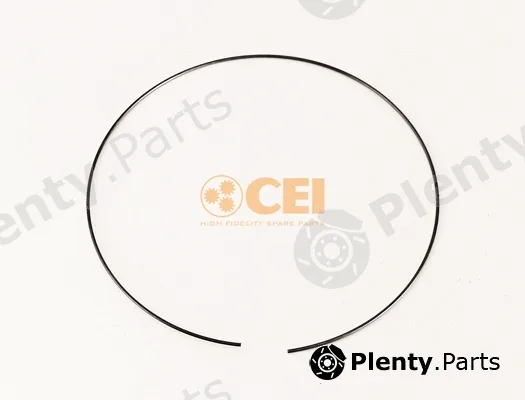 C.E.I. 111.145 — Circlip