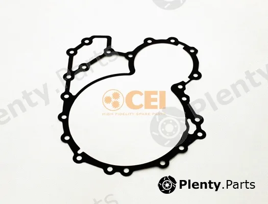 C.E.I. 239.189 — Oil Seal, manual transmission