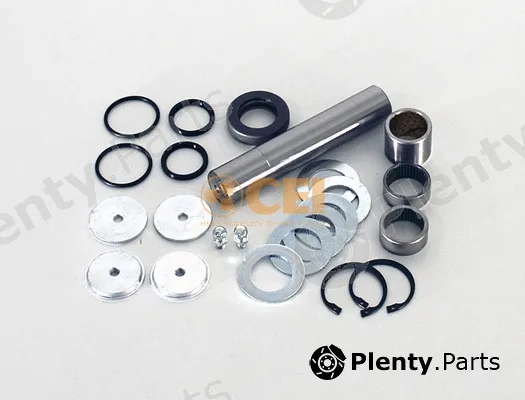 C.E.I. 230.100 — Repair Kit, kingpin