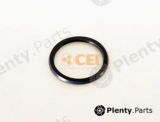 C.E.I. 239.120 — Oil Seal, manual transmission