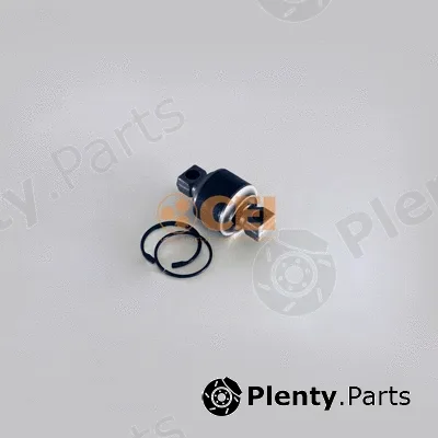 C.E.I. 198.411 — Repair Kit, control/trailing arm